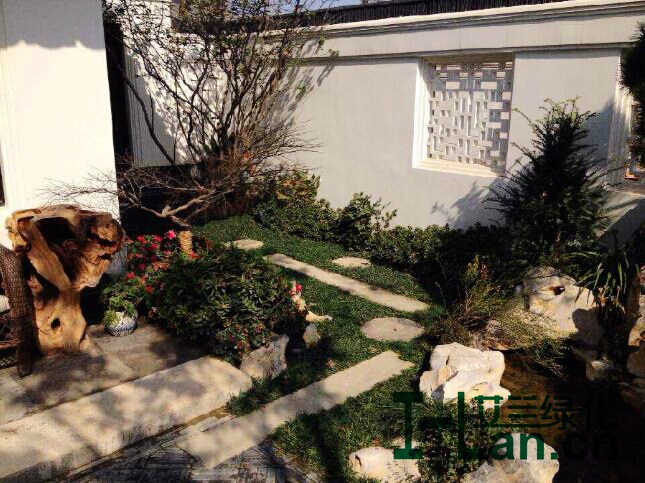 中(zhong)式(shi)庭院